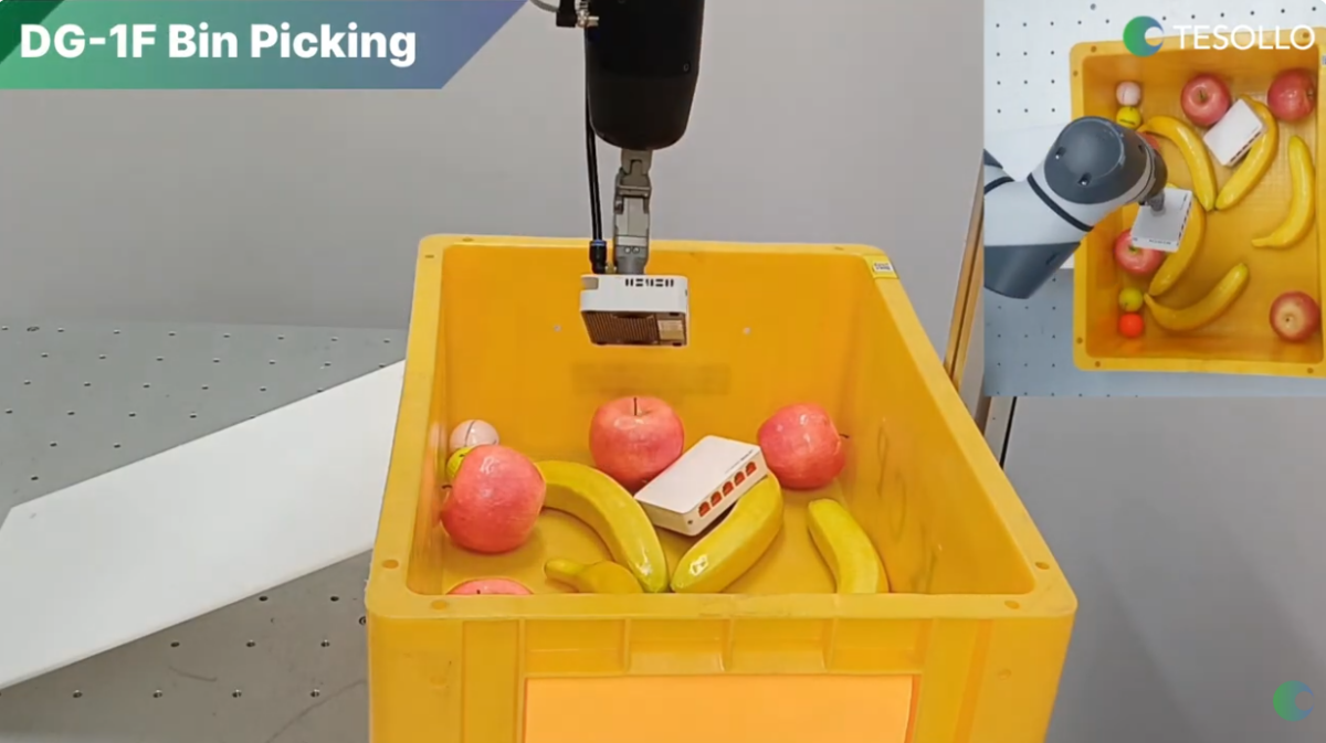 DG-1F 빈 피킹 데모